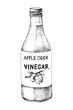 Apple cider vinegar vector illustration