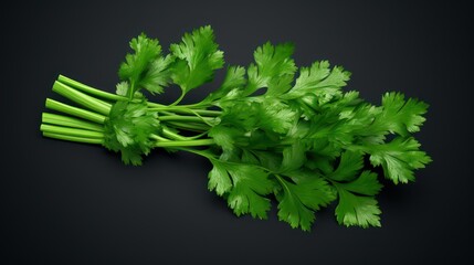 Wall Mural - bunch of fresh green parsley black background