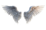 Fototapeta  - a high quality stock photograph of a single angel wings isolated on a white background