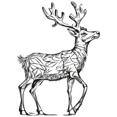 Hand Drawn Christmas Reindeer, deer in Vintage Engraving Sketch, black white isolated Vector ink outlines template for greeting card, poster, logo, invitation