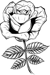 Poster - silhouette of black and white rose outline