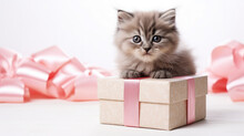 A Gray Fluffy Kitten Sits On Gift Boxes With Pink Bows.