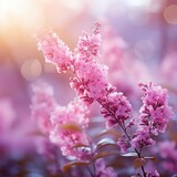 Fototapeta Kwiaty - Beautiful lilac flowers blooming. Bouquet of fresh lilacs in spring on blurred background. A picturesque colorful artistic image with a soft focus. Illustration.