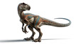 Illustration Isolated of velociraptor or deinonychus. Wild prehistoric velociraptor figure anatomycal in white background. Generative AI