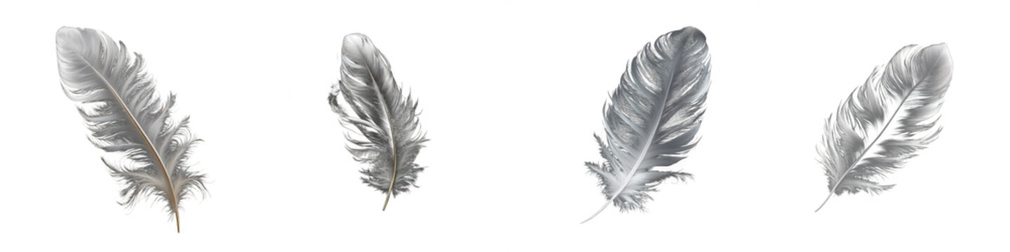 a collection of lifelike white feathers arranged meticulously, rendered with fine details to showcas