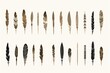 A collection of various colored feathers arranged on a plain white background. Versatile and can be used for a variety of purposes.