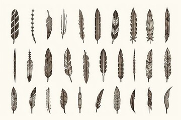 Poster - A collection of various types of feathers arranged on a plain white background. This versatile image can be used for various creative projects or to add a touch of nature to designs.