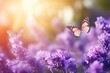 Sunny summer nature background with fly butterfly on lavender flowers