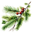 Tannenzweig Aquarell Beeren Weihnachten gemalt Naturillustration Grün Rot Wanddeko Festliche Dekoration Wintergeschenk
