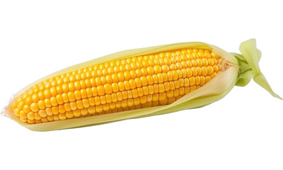 Sticker - corn on the cob isolated on transparent background