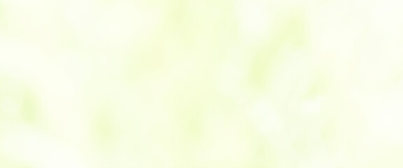 Wall Mural - abstract soft vignette blurred texture pastel green gradient background concept for your graphic design, white and green abstract background, bokeh blurred beautiful shiny lights.
