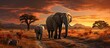 a group of elephants in the African savanna. a view of wild animal life in the wild