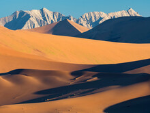 Sand Dunes Glow Golden In Late Afternoon Light In Namib-Naukluft Park; Sossusvlei, Namibia