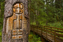 Tree Trunk Carved By A Native American Artist At Bartlett Cove In Glacier Bay National Park; Alaska, United States Of America