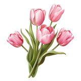 Fototapeta Tulipany - Bouquet of pink tulips on transparent background, realistic illustration. Valentine's Day