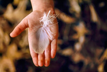 White feather in a child's hand; Gibbon, Nebraska, United States of America