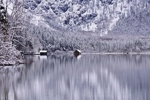 Almsee In Salzkammergut, Österreich An Einem Kalten Wintertag