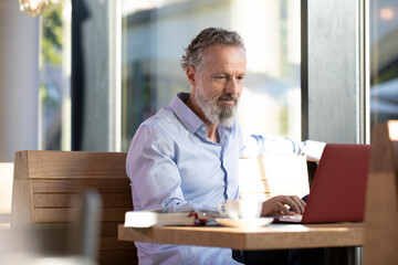 Wall Mural - Mature man using laptop in a cafe