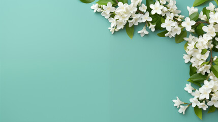  A trail of jasmine flowers on a serene green background, Valentine’s Day, delicate flowers, top view, with copy space