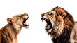 Set of Savannah Predators: Aggressive Lioness and Angry Lion, Isolated on Transparent Background, PNG