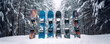 group of snowboards with deferent designs in a raw with snow forest background as wide banner for winter sports and holidays activities with copy space area