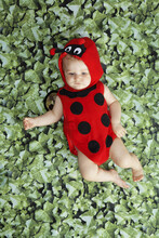 Baby Dressed As Ladybug