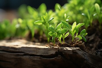 Poster - Generative AI : the green shoots grow on dead wood