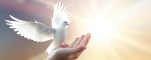 Freedom Banner Concept, Praying Hand And White Dove Happy Flying On Sunset, Heaven, Light Flare Background