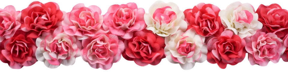 Wall Mural - row of carnation flowers banner isolated on transparent background - floral design element PNG cutout