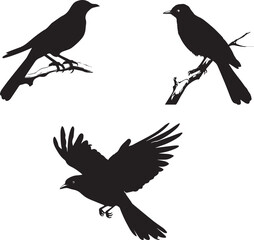 Sticker - Cuckoo bird vector silhouettes on white background