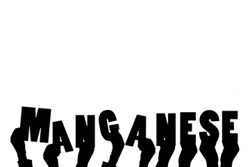 Leinwandbilder - Digital png illustration of hands and manganese text on transparent background