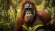 Male Orangutan in the Borneo forest , Generate Ai