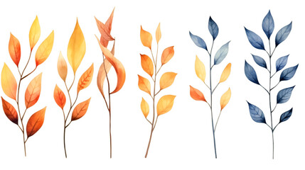 colorful watercolor elements of autumn fall tree branches, twigs, leaves, and eucalyptus set isolated on a transparent background