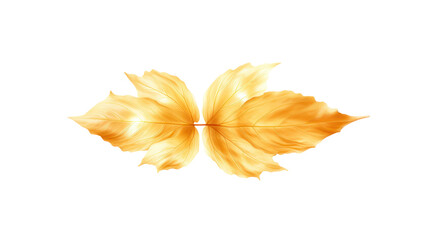 Wall Mural - Set of images of luxurious golden leaves isolated on white background. Perfect for holiday decorations, greeting cards, brochures or posters. On a transparent background. Isolated.