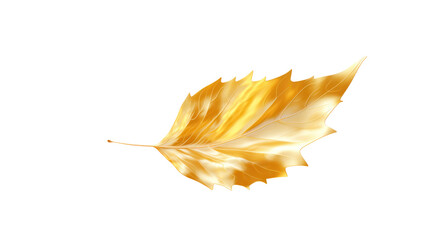 Wall Mural - Set of images of luxurious golden leaves isolated on white background. Perfect for holiday decorations, greeting cards, brochures or posters. On a transparent background. Isolated.