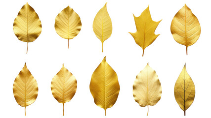 Wall Mural - Set of images of luxurious golden leaves isolated on white background. Perfect for holiday decorations, greeting cards, brochures or posters. On a transparent background. Isolated.