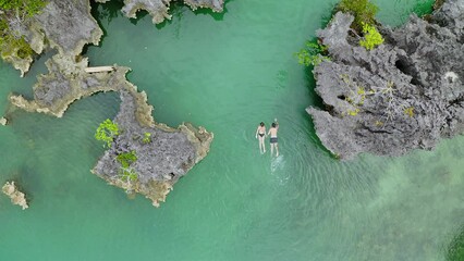 Wall Mural - Drone of ocean, couple of friends swimming and beach for holiday, summer vacation or adventure in tourism. Aerial view of people snorkeling in water, sea or coral reef in Raja Ampat Island, Indonesia