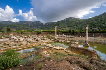 Wall Mural - The Temple of Apollo at Claros in Turkey