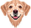 Dog frontal view, vector isolated animal.