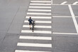 © nuclear_lily - Man crosses the road at a pedestrian crossing and carries a bicycle next to him. View from above.