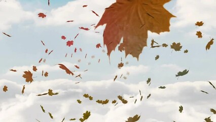 Wall Mural - animation of falling leaves over dense clouds against blue background