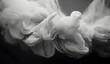 Abstract black and white smoke on black background, monochrome.