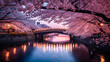 都会の夜桜,、満開の桜と川と橋の風景