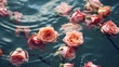 pink rose in water