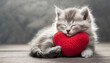 cute kitten hugging a red heart shaped soft fluffy pillow - love concept - valentines day