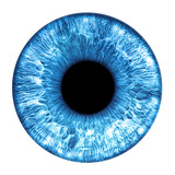 Fototapeta Sypialnia - Blue eye iris - human eye