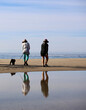 two women and their dog walking along the beach