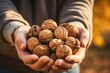 A heap of fresh walnuts in the hands of a woman symbolizes the healthful essence of autumn harvest.