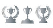 a set of award cups with laurel wreaths of 3 types. silver color, second place