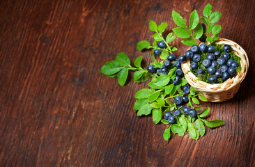 Wall Mural - blueberries in the detail on a wooden table